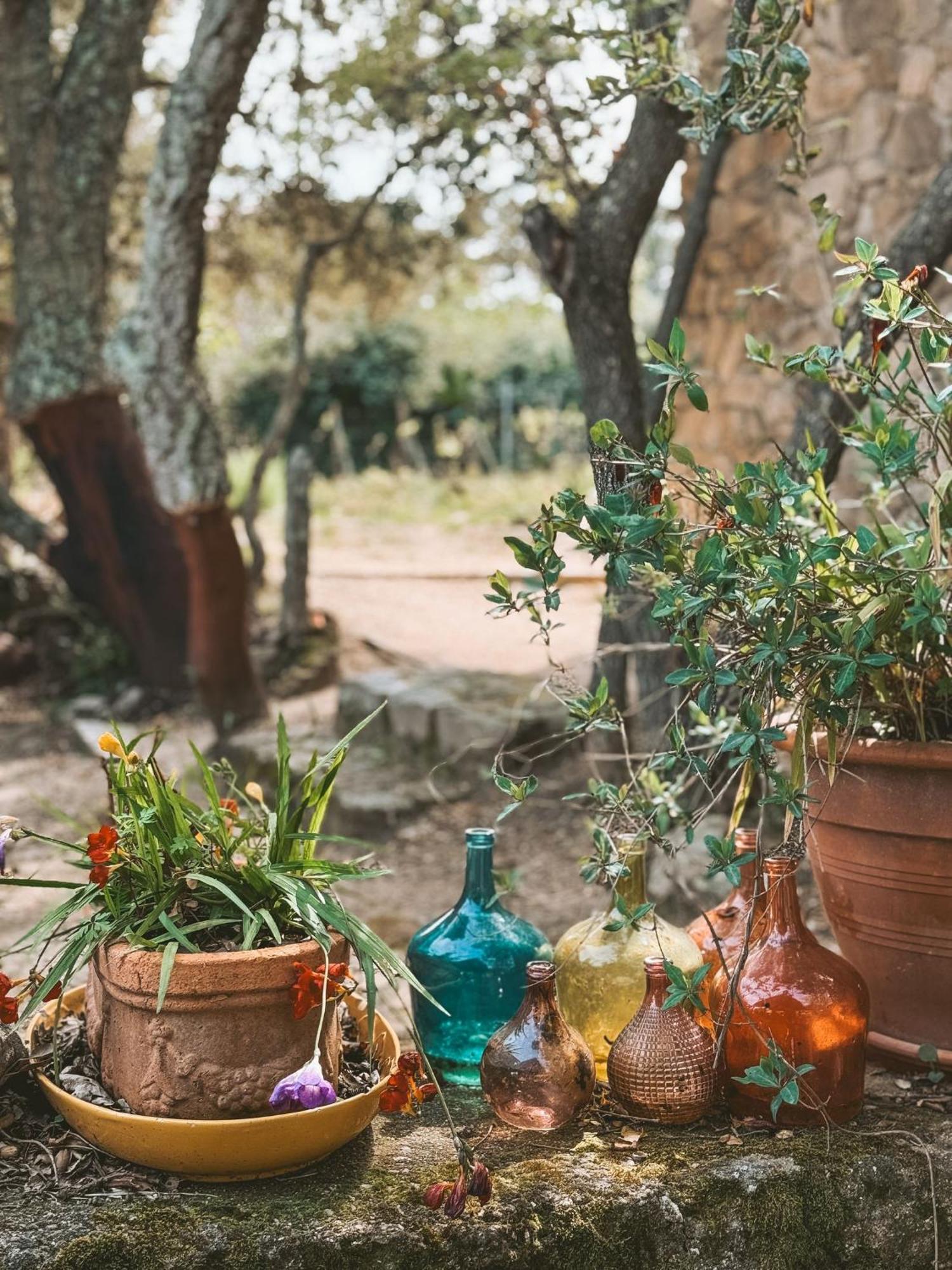 Agriturismo Il Muto Di Gallura Aggius Exteriör bild
