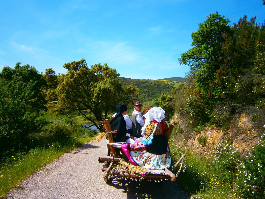 Agriturismo Il Muto Di Gallura Aggius Exteriör bild
