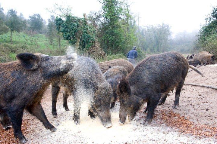 Agriturismo Il Muto Di Gallura Aggius Exteriör bild