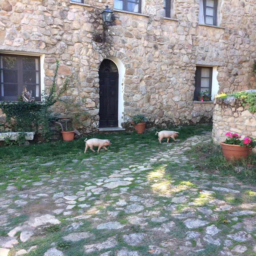 Agriturismo Il Muto Di Gallura Aggius Exteriör bild