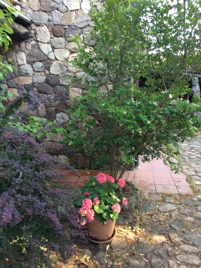 Agriturismo Il Muto Di Gallura Aggius Exteriör bild